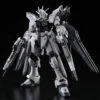 Bandai RG 1/144 Strike Freedom Gundam DEACTIVE Mode Plastic Model ( JAN 2023 )