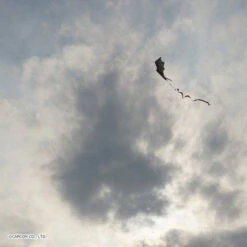 Bandai Monster Hunter World: Iceborn Rathalos DX Kite -Kurama Toys Store 1000138601 9 63309.1567752063