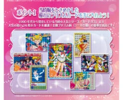 Bandai Carddass 30th Anniversary Best Selection Set Pretty Guardian Sailor Moon Carddas Ver. 14 Bandai Carddass 30th Anniversary Best Selection Set Pretty Guardian Sailor Moon Carddas Ver. -Kurama Toys Store 20180615 cd sailormoon carddass 03 25583.1529054090